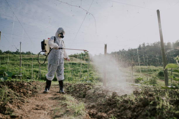 Best Best Pest Control Companies  in Bono, AR