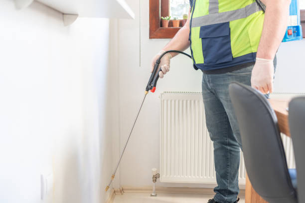 Best Pest Removal Services  in Bono, AR