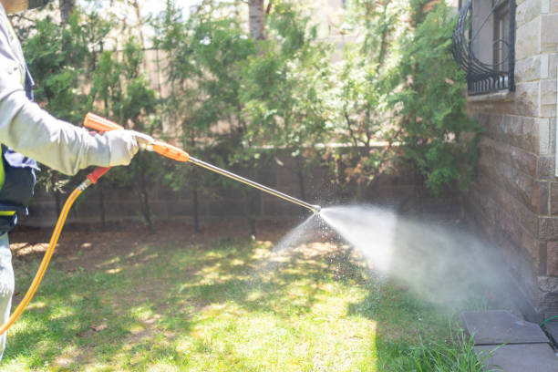 Best Pest Control Treatment  in Bono, AR