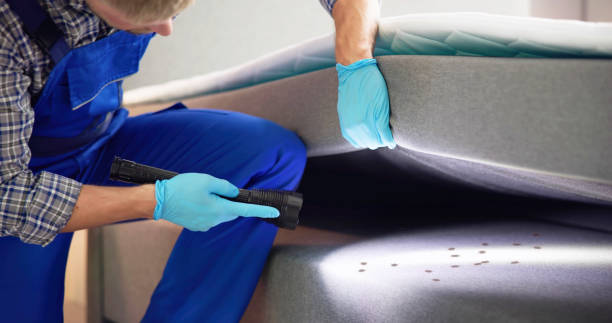 Best Bed Bug Extermination  in Bono, AR