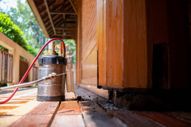 Best Termite Control Services  in Bono, AR