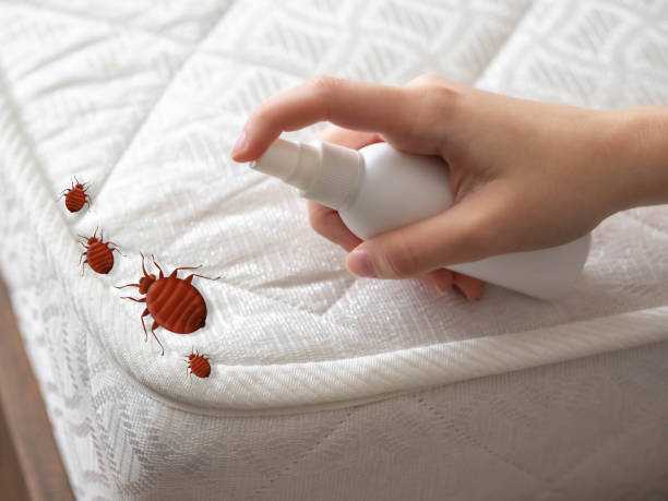 Best Affordable Pest Control Services  in Bono, AR