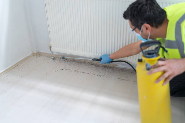 Best Pest Control for Homes  in Bono, AR